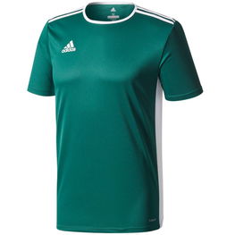 Adidas Entrada 18 Jr marškinėliai