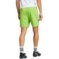 Šortai adidas Tiro 23 League M IB8088