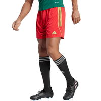 Šortai adidas Tiro 23 League M IB8090