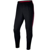 Nike B Dry Squad futbolo kelnės Junior 859297-020