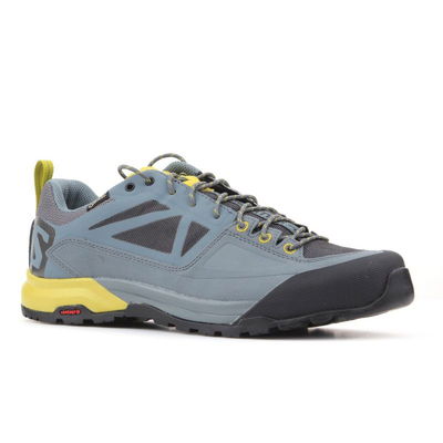 Salomon X Alp SPRY GTX M 401621 batai