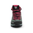 Salewa batai WS Alp Mate Mid Wp W 61385-5085