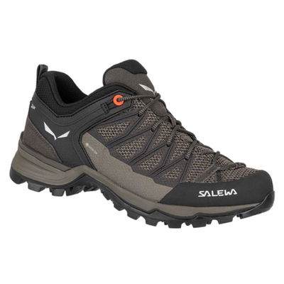 Žygio bateliai Salewa Mtn Trainer Lite GTX W 61362-7517