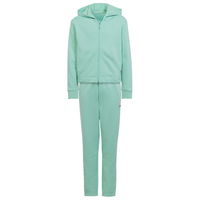 Adidas Cotton Hoodie TS Jr Tracksuit HR5840
