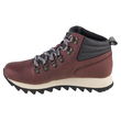 Merrell Alpine žygeivių batai W J003772